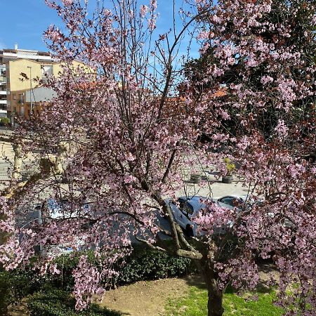 פלאסנסיה Apartamento Dacosta מראה חיצוני תמונה