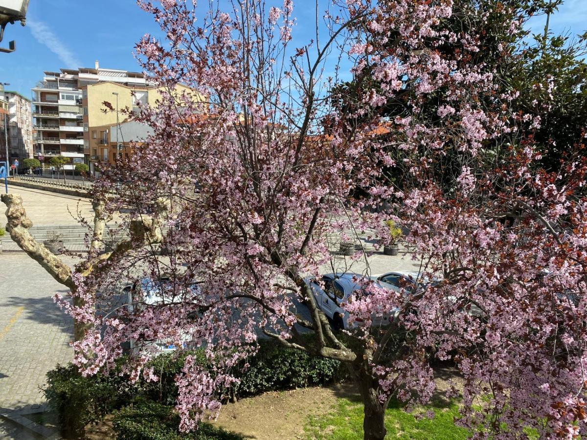פלאסנסיה Apartamento Dacosta מראה חיצוני תמונה